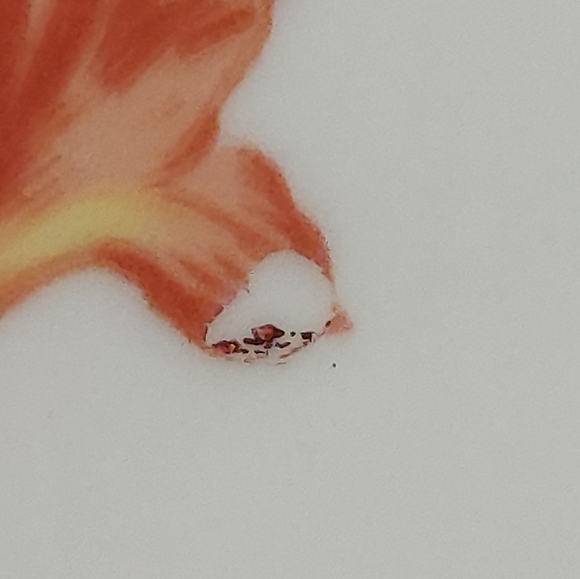 German Democratic Republic  Dematasse 7" Coffee Pot 1777 Henneberg Porzellan Lid - Picture 9 of 16